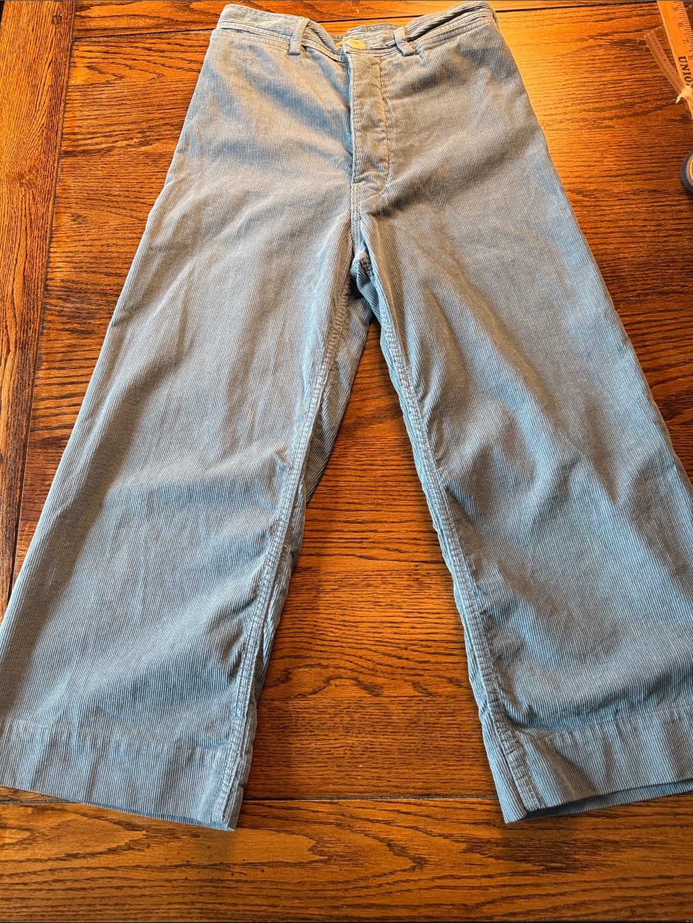 Jesse Kamm Blue Corduroy Kamm Pants High Rise Wide Leg Made in California